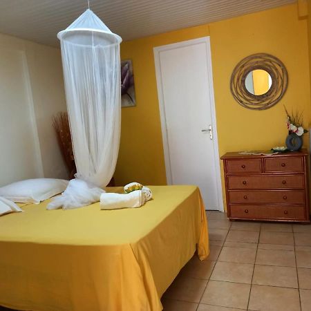 Petit Appartement Cosy Pres Des Plages 생트안느 외부 사진